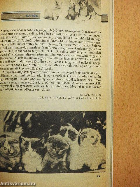 Nők Magazinja Évkönyv '86