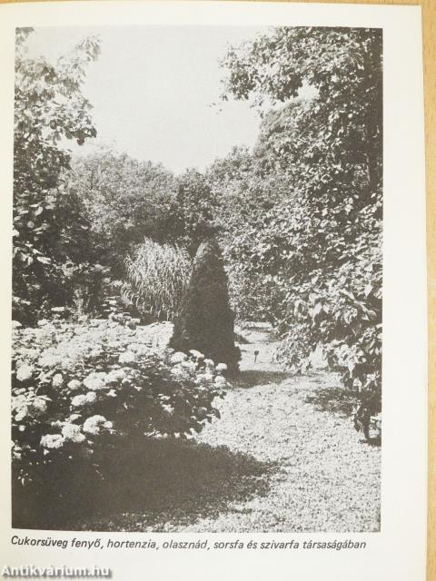 Erdőtelek - Arborétum