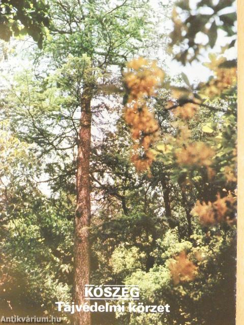 Kőszeg - Tájvédelmi körzet