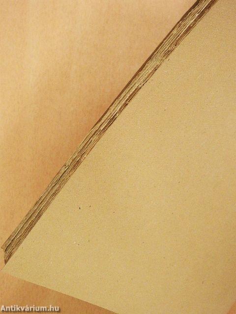 A róm. kath. egyház története Magyarországban I/1.