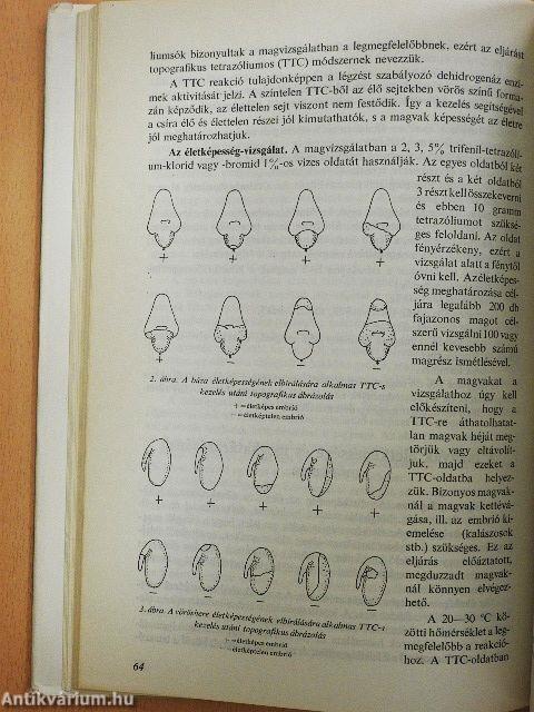 A szántóföldi növények vetőmagtermesztése és fajtahasználata