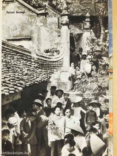 Tigris nem jön többé