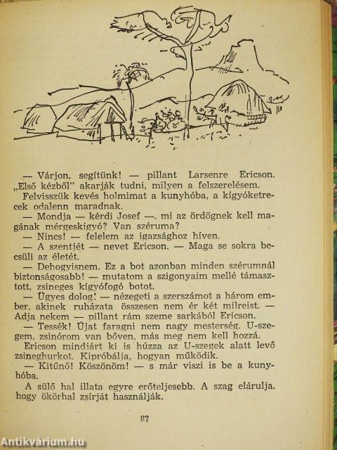 A fehér arany vadonában