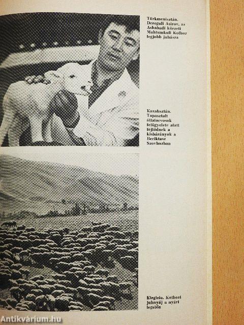 A szovjet mezőgazdaság