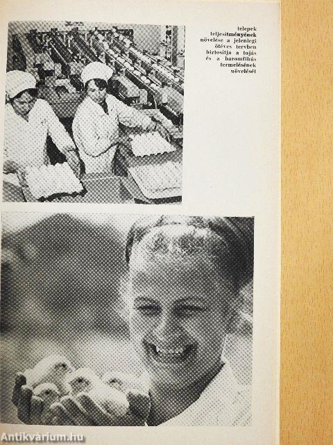 A szovjet mezőgazdaság