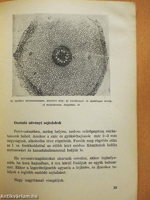 Mikrotechnikai kislaboratórium