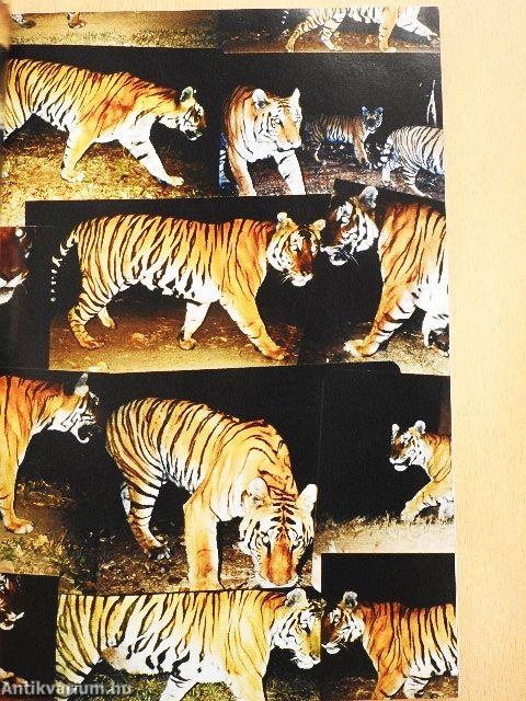 National Geographic Magyarország 2016. június