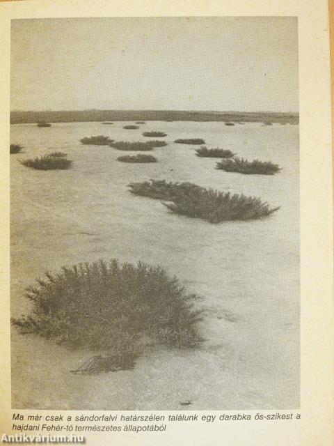 Szeged, Fehér-tó - Pusztaszeri tájvédelmi körzet