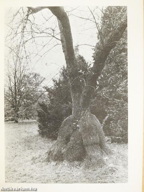 Szarvas - Arborétum