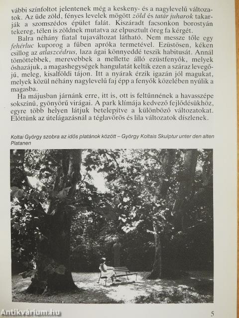 Sárvár - Arborétum