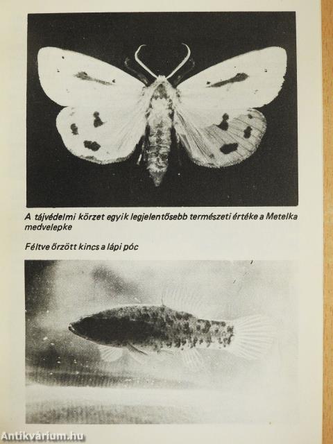 Orgovány - Tájvédelmi körzet