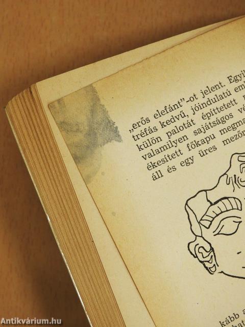 Az Egyenlítőtől délre