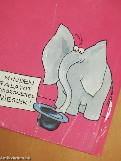Amit az elefántokról feltétlenül tudni kell