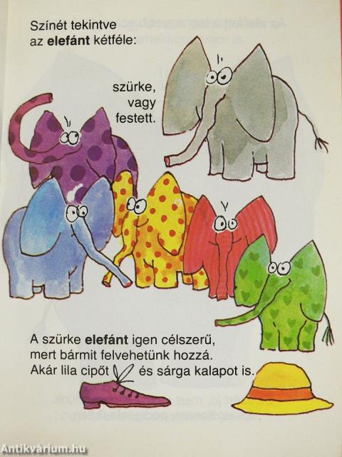 Amit az elefántokról feltétlenül tudni kell