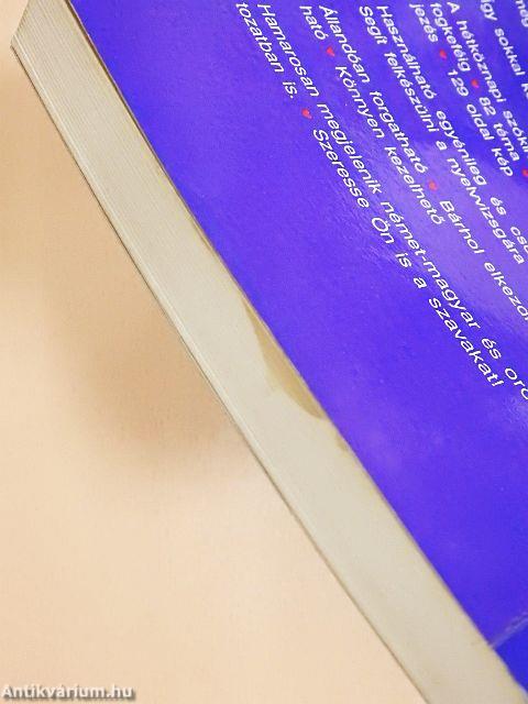 Képes brit és amerikai angol-magyar szótár