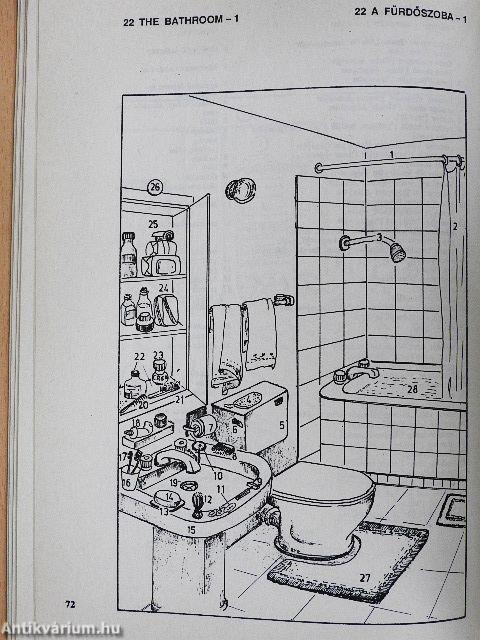 Képes brit és amerikai angol-magyar szótár