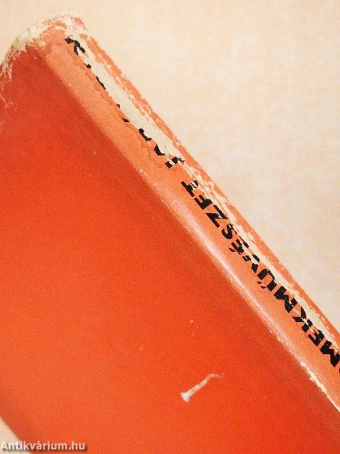 Gyermekművészet Japánban