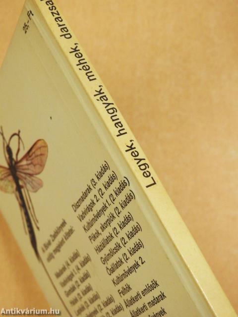 Legyek, hangyák, méhek, darazsak