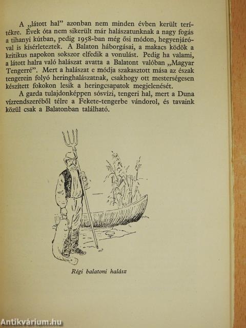 Őszi, téli Balaton