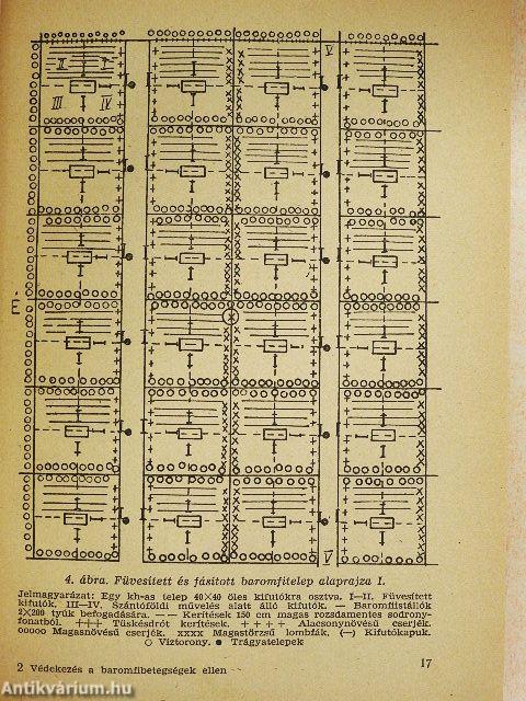 Védekezés a baromfibetegségek ellen