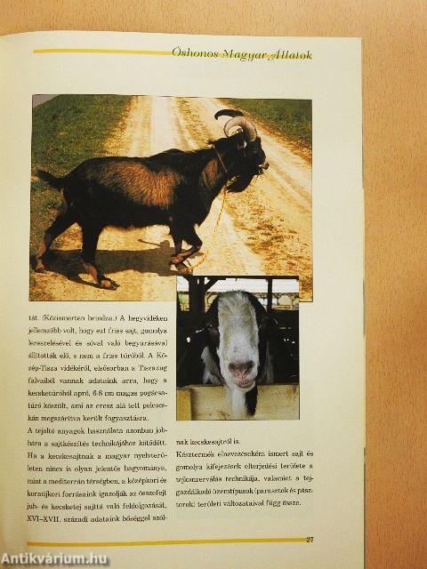 Őshonos magyar állatok