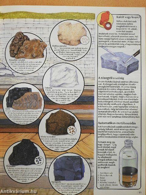 Kőzetek és ősmaradványok