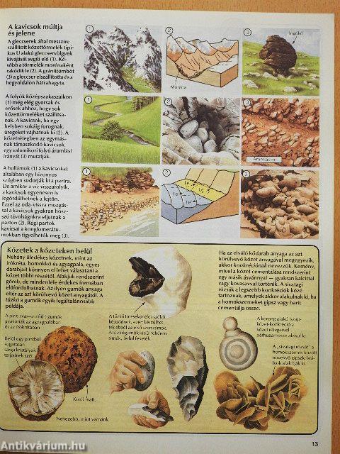 Kőzetek és ősmaradványok