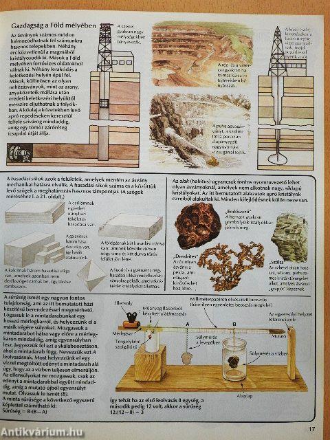 Kőzetek és ősmaradványok