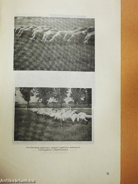 A  gyepek termésének hasznosítása legeltetéssel