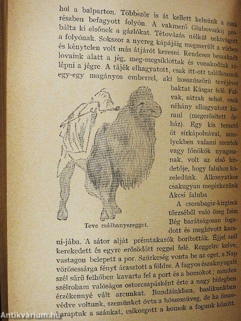 Belső-Ázsia küszöbén