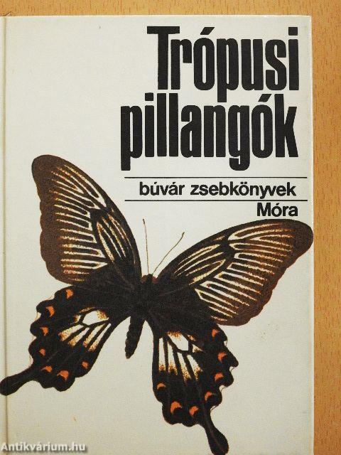 Trópusi pillangók