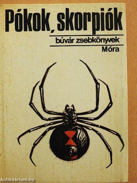Pókok, skorpiók