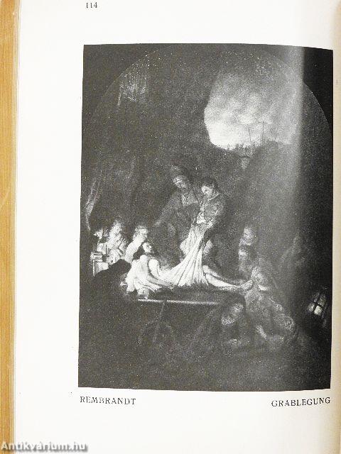 Katalog der älteren Pinakothek zu München