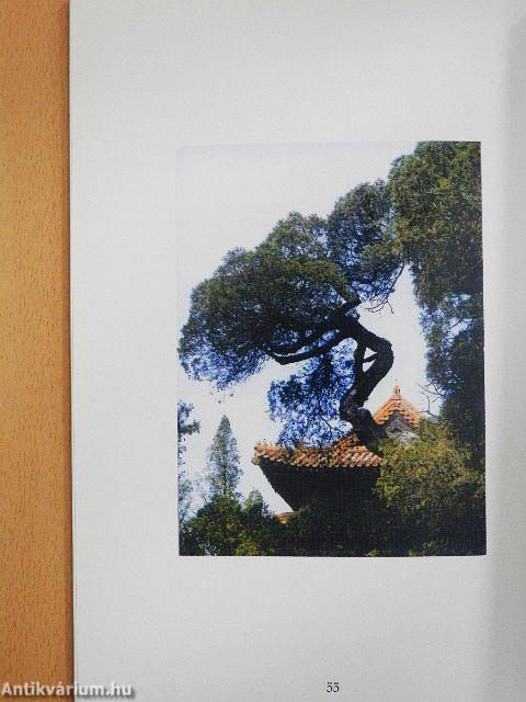 Kínai templomok, kínai legendák