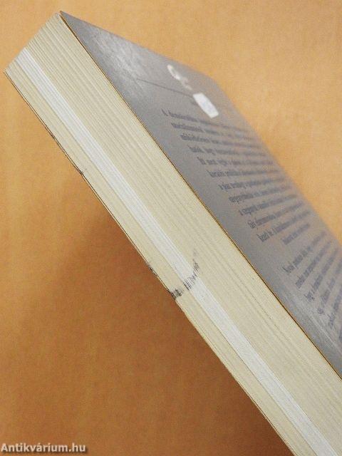 A demokratikus kapitalizmus szelleme