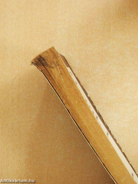 A vadkacsa/Solness építőmester