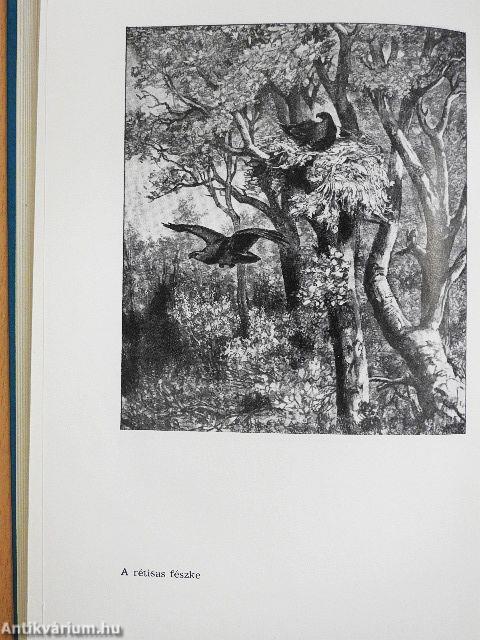 Az Egyenlítőtől az Északi-fokig