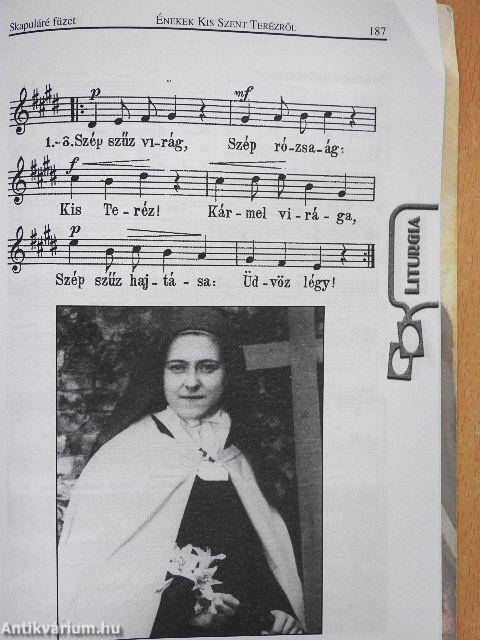 A Kármelhegyi Boldogasszony Skapuláréja