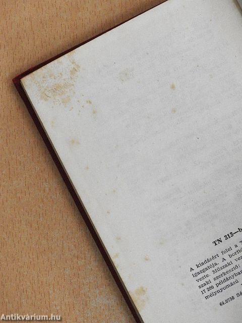 Kettesben az óceánokon