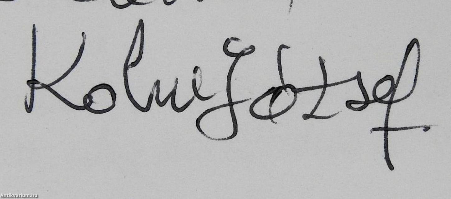 Váradi képek, váradi emlékek (dedikált példány)