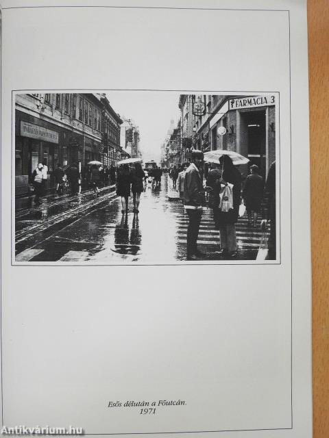 Váradi képek, váradi emlékek (dedikált példány)