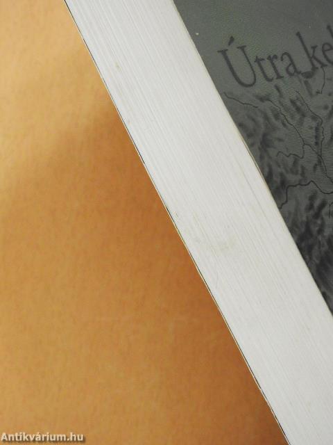 "Hol az a táj szab az életnek teret, Mit az Isten csak jókedvében teremt." (dedikált példány)