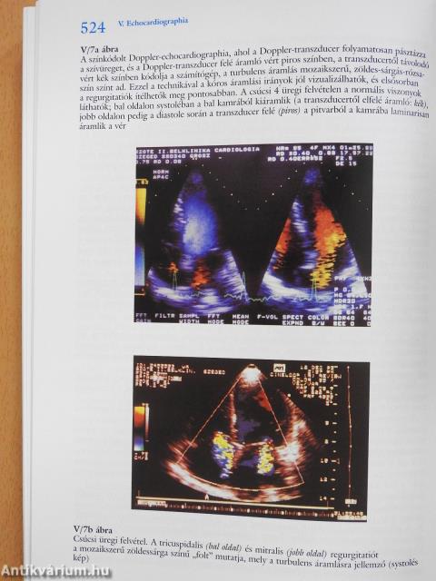 Differenciáldiagnosztikai kalauz (dedikált példány)