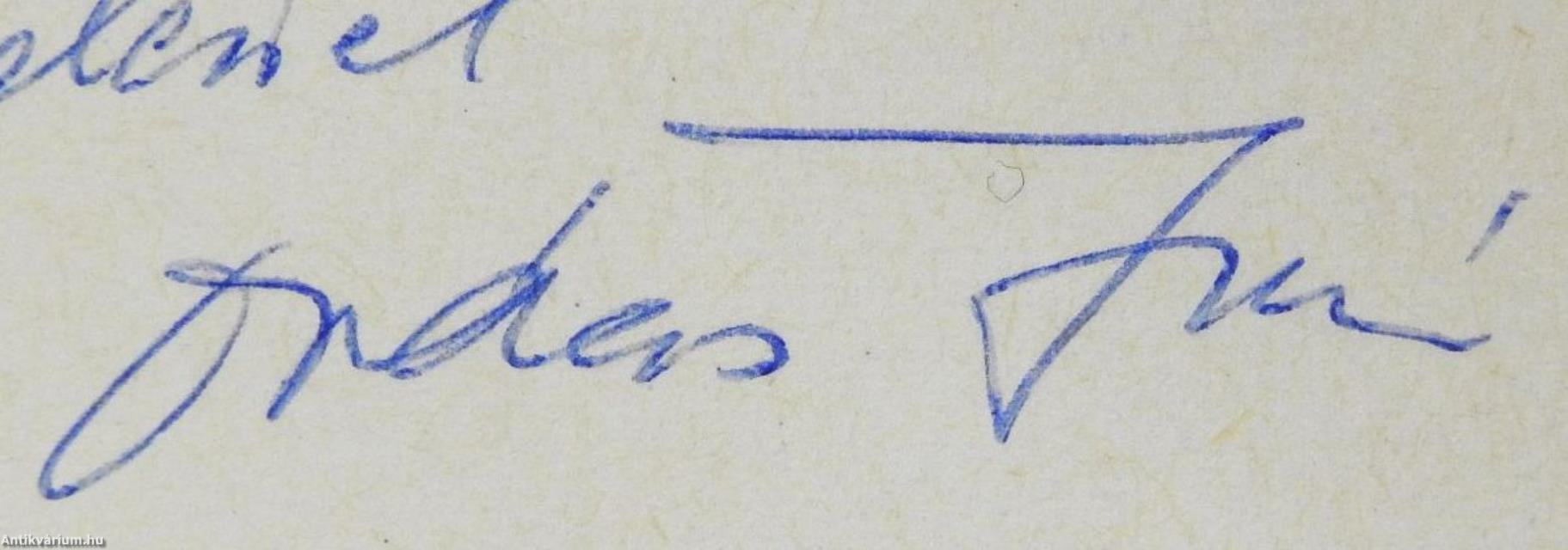 Az aradi tizenhárom (dedikált példány)