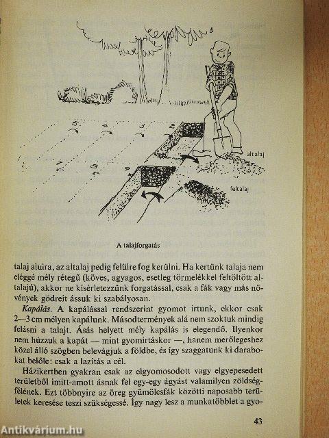 Nagy öröm a kiskert!