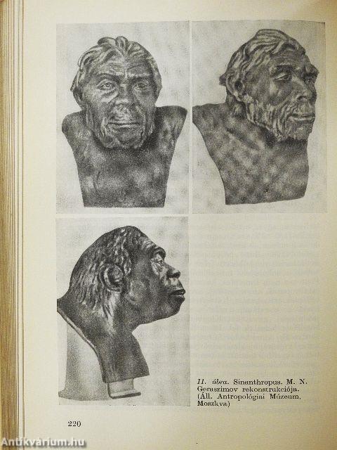 Az általános pszichológia alapjai I-II.