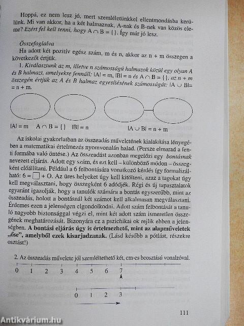 A matematikai ismeretszerzési folyamatról