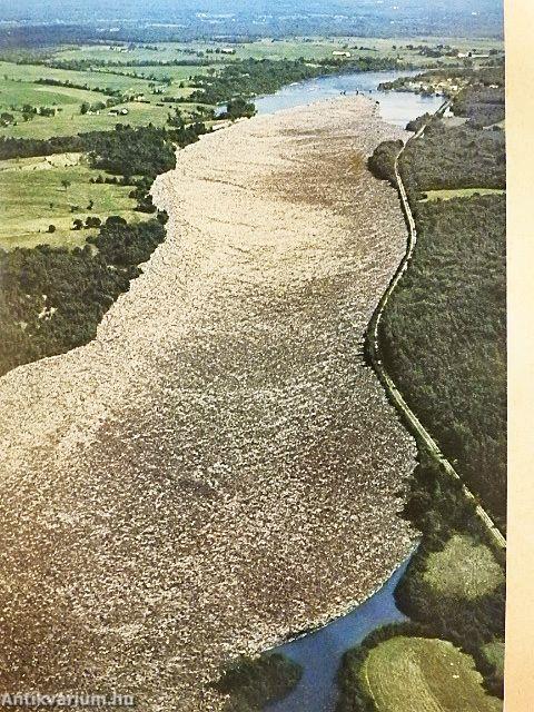 National Geographic June 1977