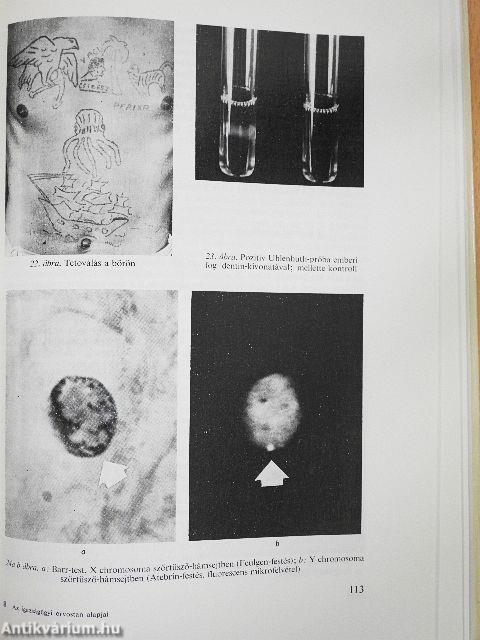 Az igazságügyi orvostan alapjai