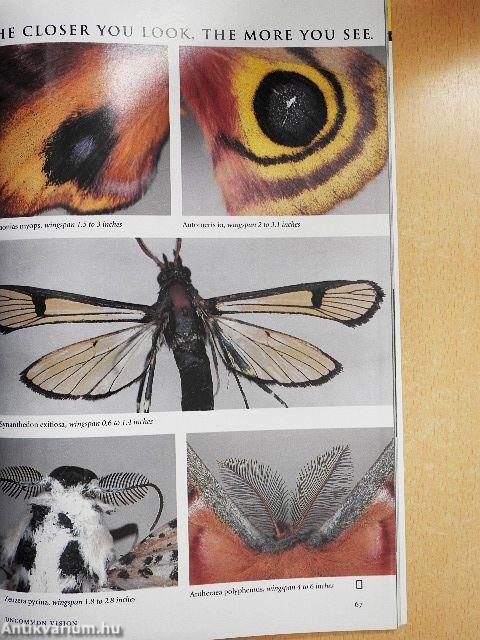 National Geographic May 2002